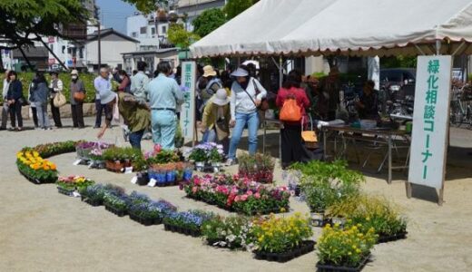 坂出市市民広場で「花と緑のオータムフェア」が2022年10月29日(土)に開催される。サンゴジュ、サクラなど苗木の無料配布があるみたい