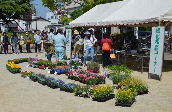 坂出市市民広場 花と緑のオータムフェア