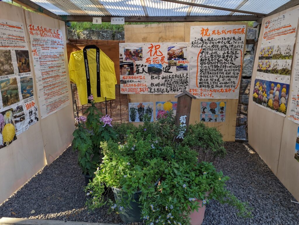丸亀城 第51回丸亀城菊花展
