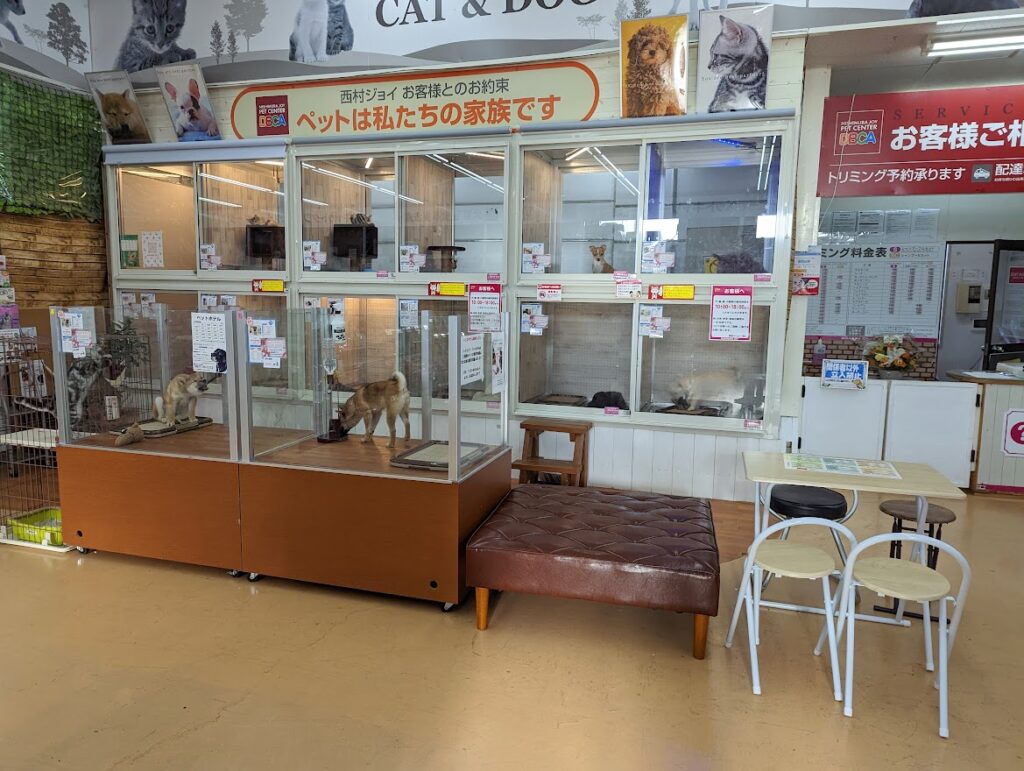 丸亀市田村町 西村ジョイ丸亀店ペットコーナー ペットショップDBCA 店内