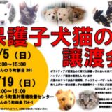 まんのう町四条 保護子犬猫の譲渡会 ちらし