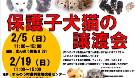 まんのう町四条で「保護子犬猫の譲渡会」が2023年2月19日(日)に開催される