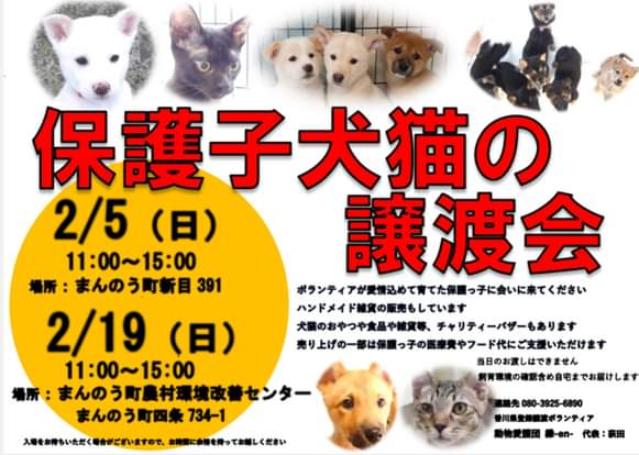 まんのう町四条 保護子犬猫の譲渡会 ちらし