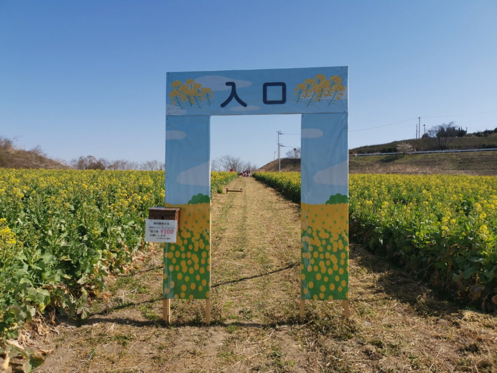 まんのう町帆山菜の花畑 2023まんのう菜の花イベント 撮影スポット