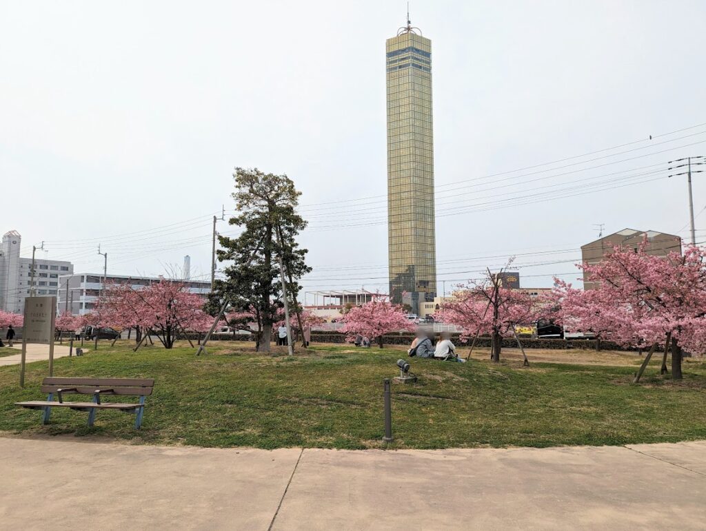 宇多津町 さくらの広場