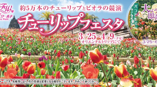 NEWレオマワールドで「チューリップフェスタ」が2023年3月25日(土)〜4月9日(日)まで開催されるみたい。約5万本のチューリップとビオラが競演