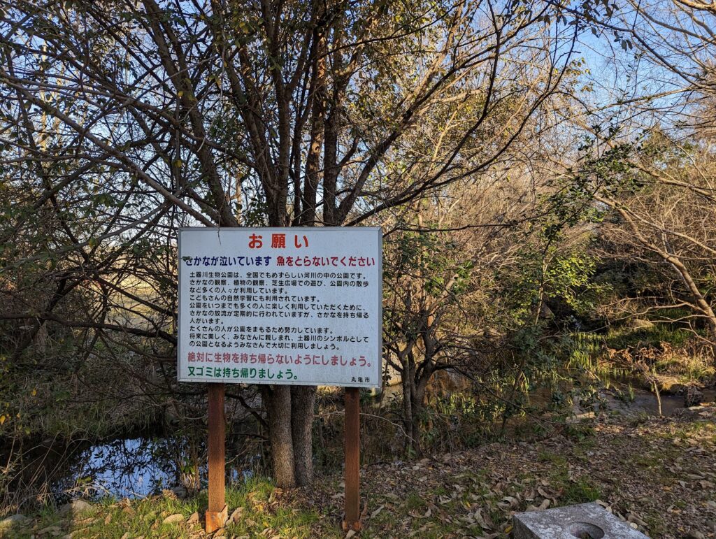 丸亀市垂水町 土器川ホタル幼虫放流