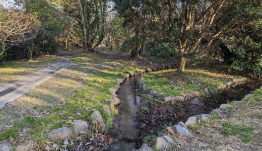 土器川の環境保全を目指して3年ぶりに「土器川ホタル幼虫放流」が2023年2月21日(火)に実施されたみたい【動画あり】