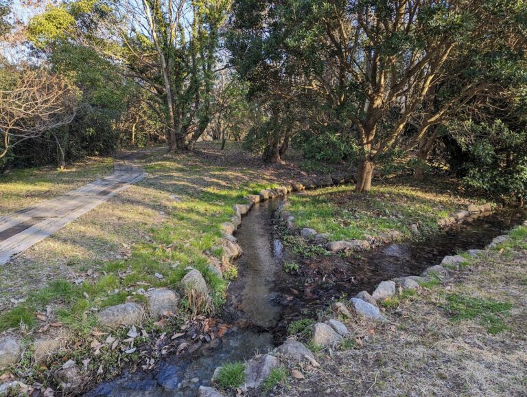 土器川の環境保全を目指して3年ぶりに「土器川ホタル幼虫放流」が2023年2月21日(火)に実施されたみたい【動画あり】