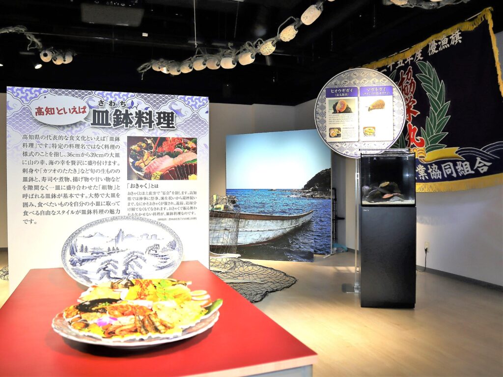 四国水族館 しこクック～四国のおいしい魚を食べよう 高知県編～
