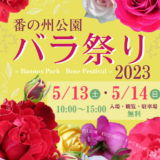 坂出市 番の州公園バラ祭り2023