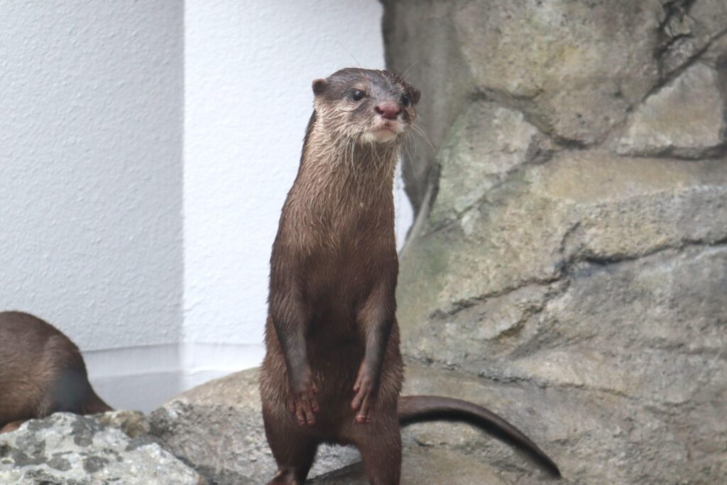 宇多津町 四国水族館