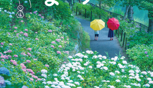 国営讃岐まんのう公園で「あじさいまつり」が2023年6月3日(土)〜2023年6月25日(日)まで開催されるみたい