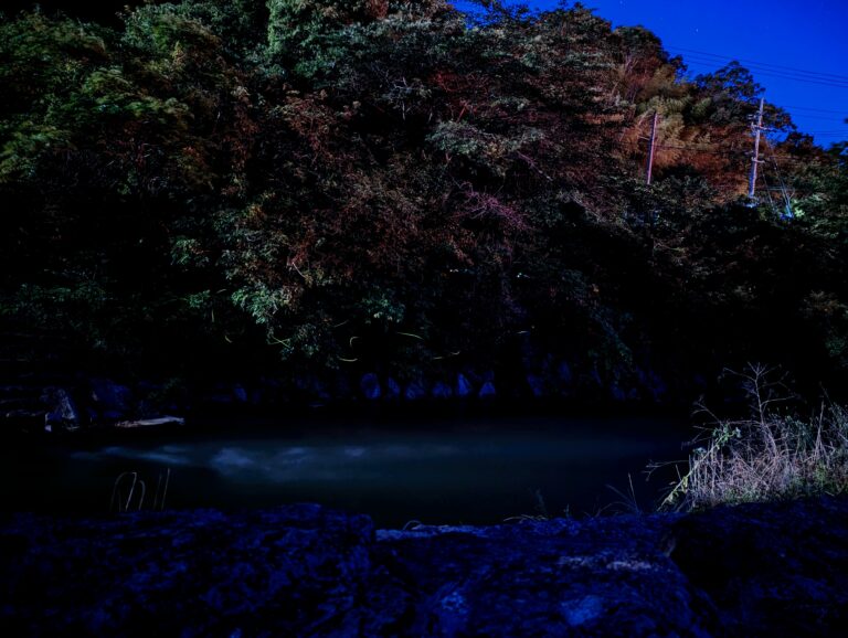 まんのう町の「ほたる見公園」のホタルと撮影のポイント。大雨の影響で数年ぶりに幻の滝も