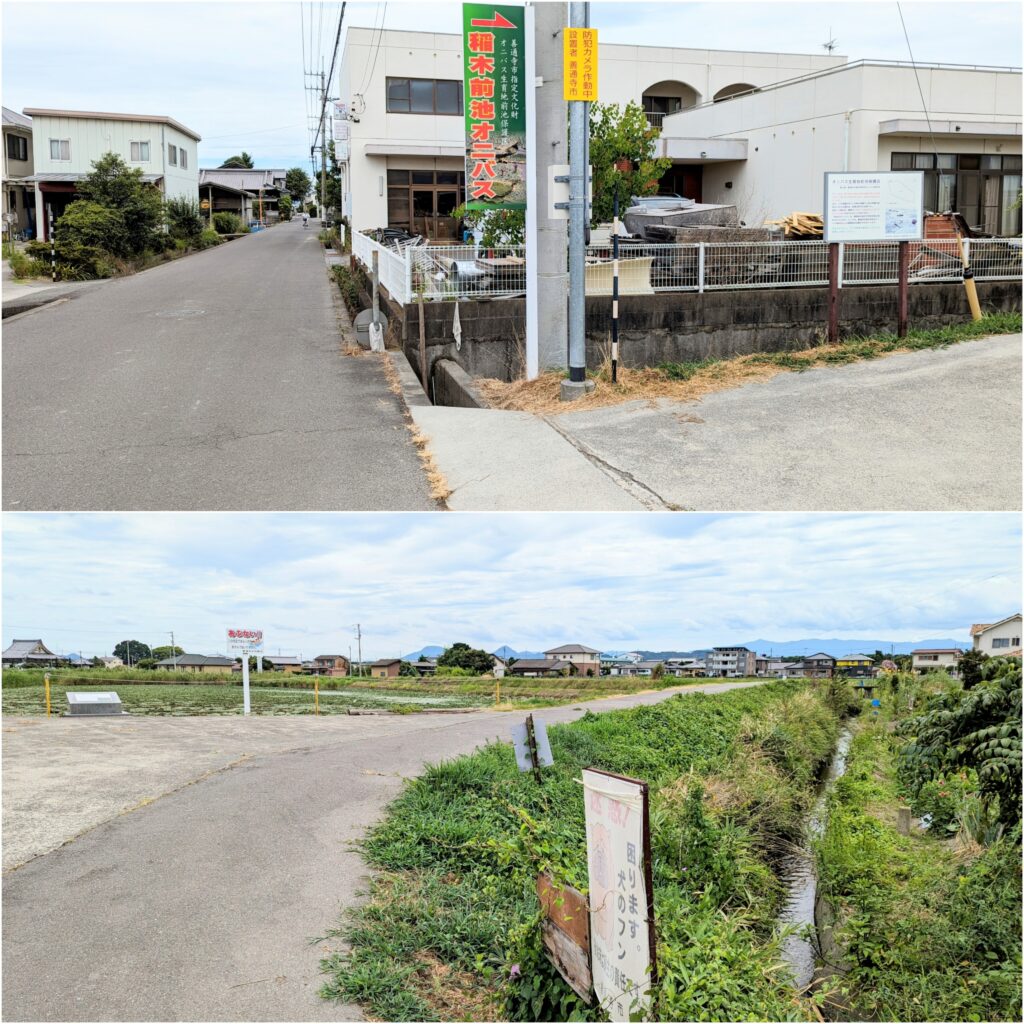 善通寺市稲木町 稲木前池のオニバス 場所