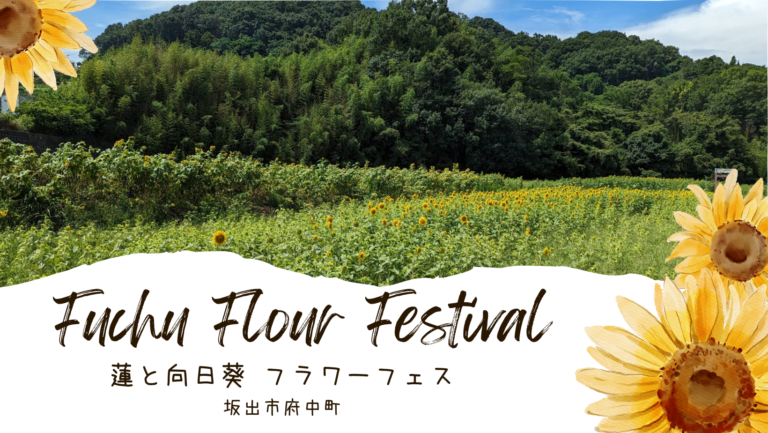 坂出市府中町で「蓮と向日葵 フラワーフェス」が2023年7月16日(日)に開催される。マルシェや撮影用の小道具もあるみたい