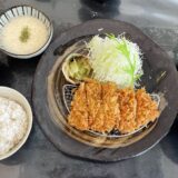 坂出市元町 豚ゴリラJr. 麦とろヒレかつ膳