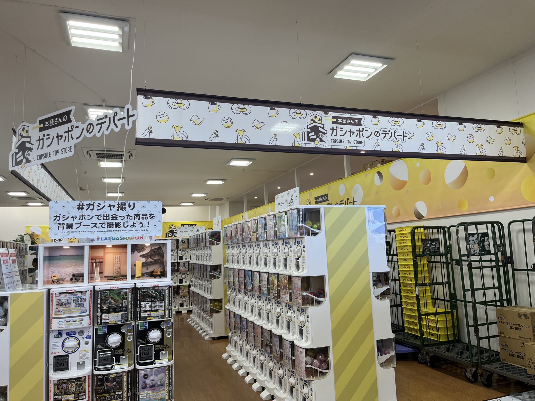 丸亀市郡家町 本屋さんのガシャポンのデパート