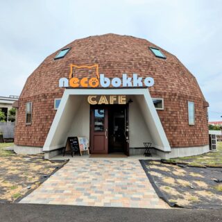 多度津町 necobokko CAFE(ねこぼっこカフェ)