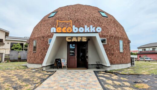 多度津町に「necobokko CAFE(ねこぼっこカフェ)」が2023年8月17日(木)にオープン！懐っこい保護猫たちと触れ合ったり美味しい料理が楽しめるみたい
