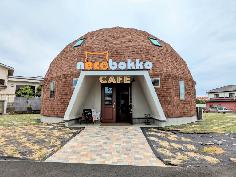 多度津町に「necobokko CAFE(ねこぼっこカフェ)」が2023年8月17日(木)にオープン！懐っこい保護猫たちと触れ合ったり美味しい料理が楽しめるみたい