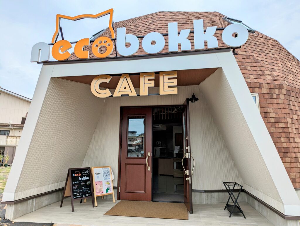 多度津町 necobokko CAFE(ねこぼっこカフェ)