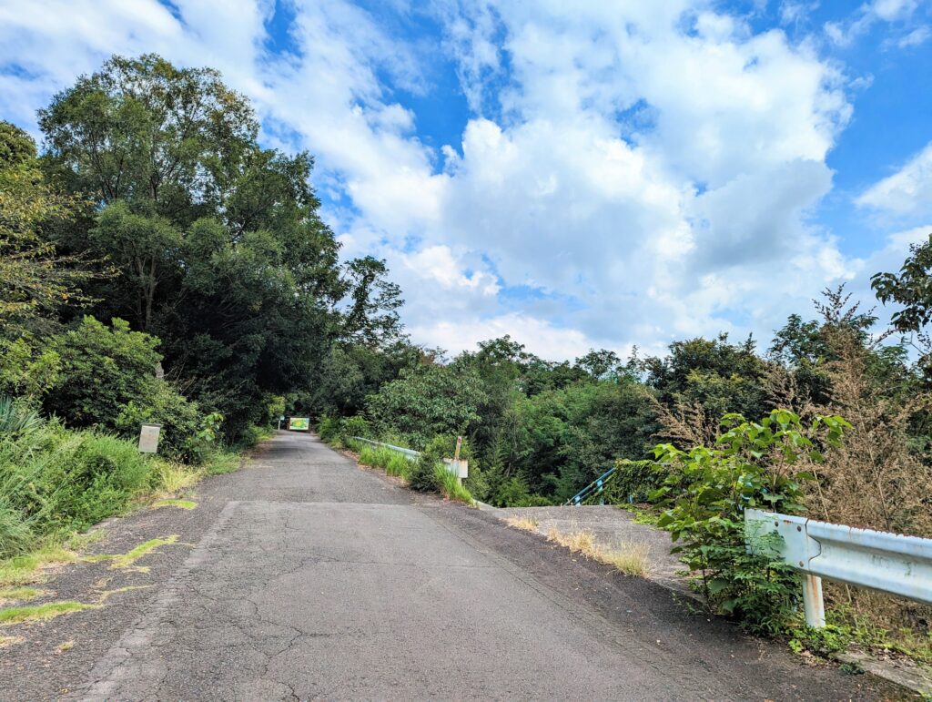 丸亀市土器町 青ノ山 竹の花 場所