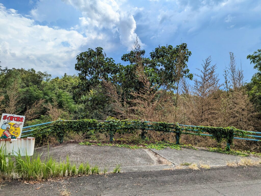 丸亀市土器町 青ノ山 竹の花