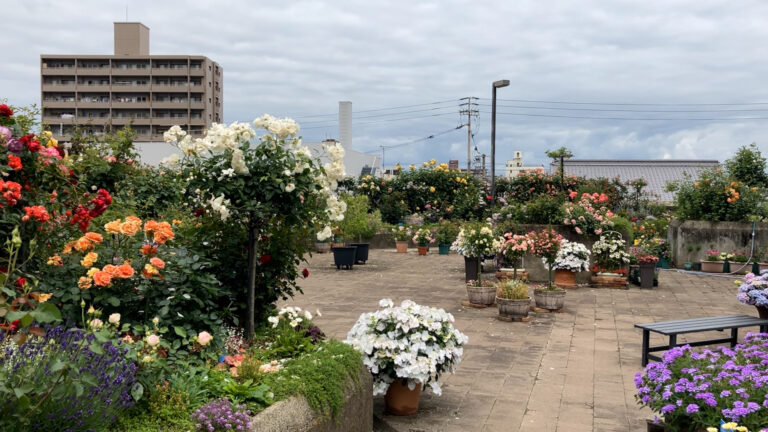 坂出市京町「坂出人工土地～屋上バラ園～、菅原神社」久米通賢ゆかりの地を巡る【動画あり】