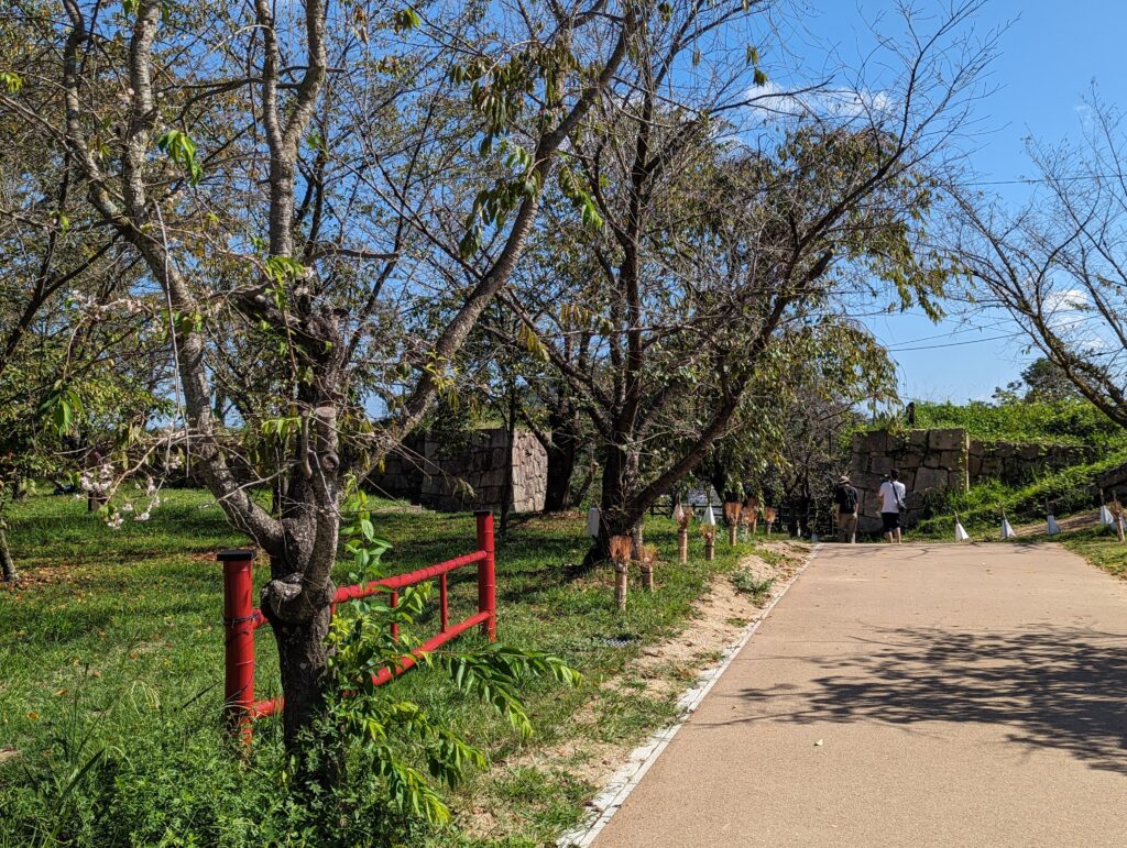 丸亀城二の丸 桜 場所