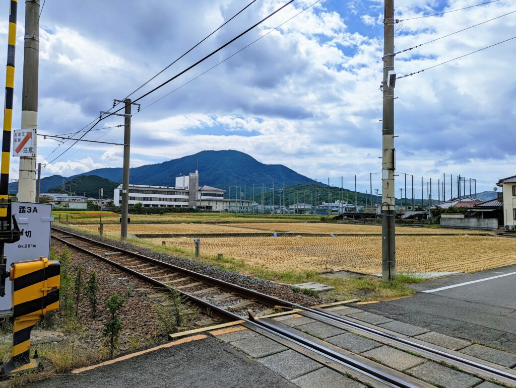 善通寺市 彼岸花