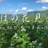 まんのう町島ヶ峰 そばの花見会