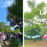 多度津町 海岸寺 La mer marché (ラメール マルシェ)