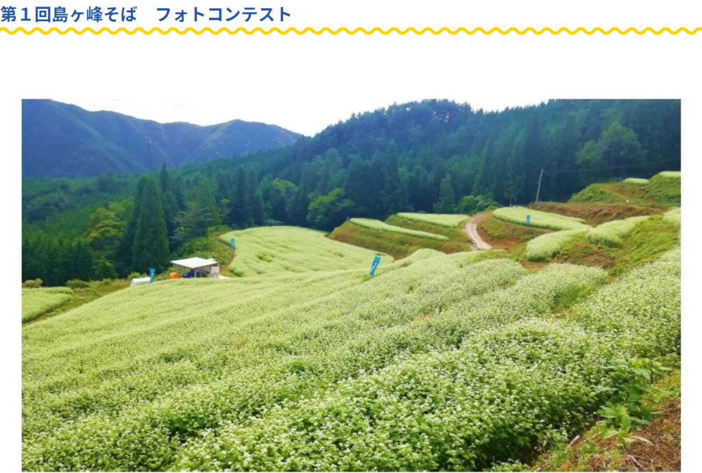 まんのう町島ヶ峰 そばの花見会 第1回島ヶ峰そばフォトコンテスト