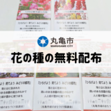 丸亀市 花の種の無料配布