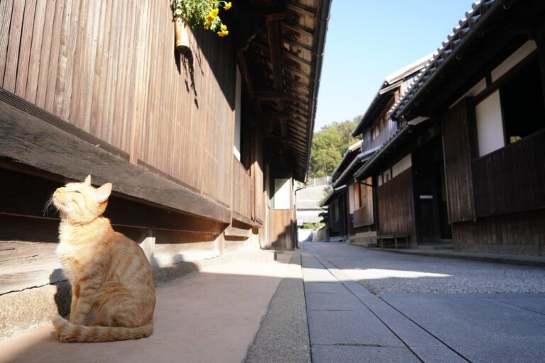 本島町笠島の重要伝統的建造物群保存地区がNHK連続テレビ小説 「ブギウギ」のロケ地に！2023年10月下旬頃に放送予定