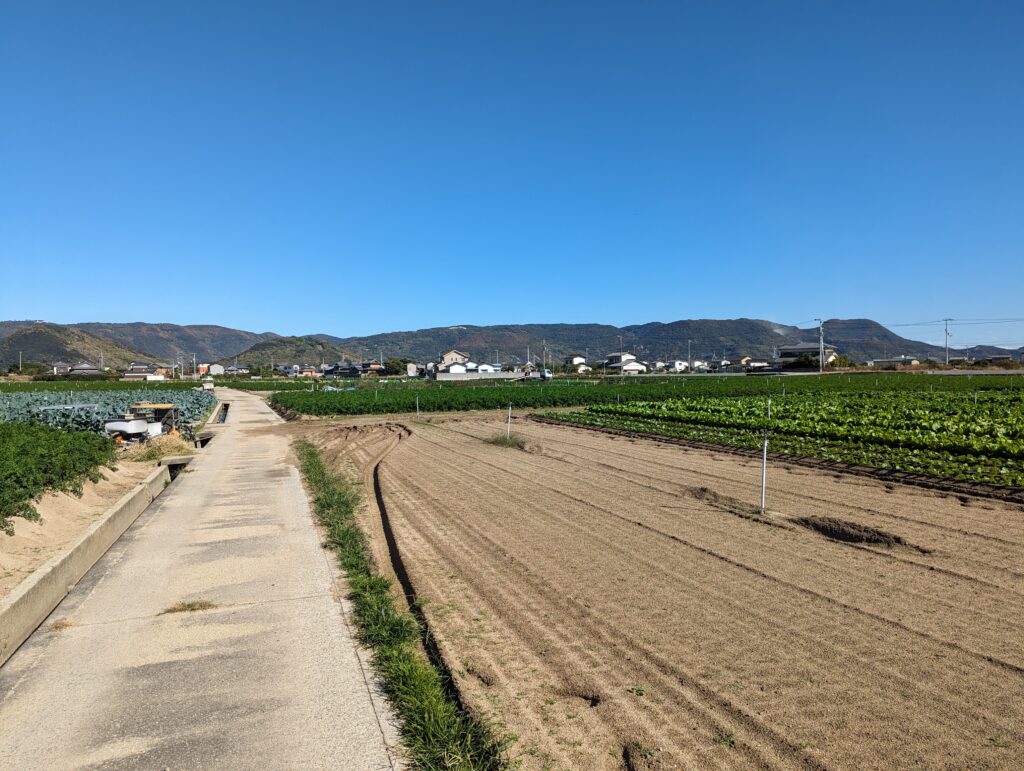 坂出市江尻町 金山コスモス園