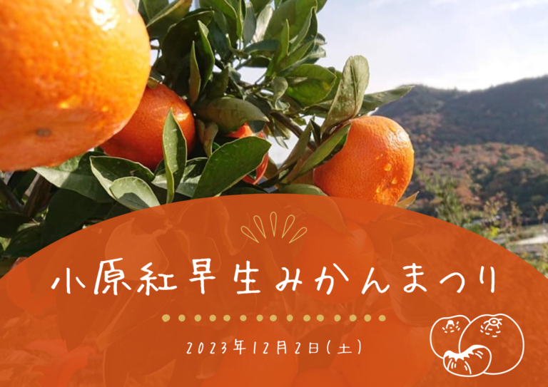 坂出市で「第11回 小原紅早生みかんまつり」が2023年12月2日(土)に開催される！