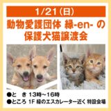 ゆめタウン丸亀 保護犬猫譲渡会