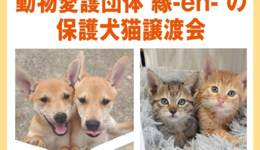 ゆめタウン丸亀で動物愛護団体 縁-en-による「保護犬猫譲渡会」を2024年1月21日(日)に開催するみたい