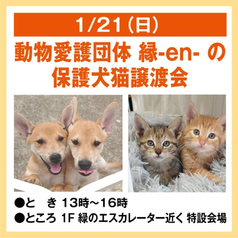 ゆめタウン丸亀で動物愛護団体 縁-en-による「保護犬猫譲渡会」を2024年1月21日(日)に開催するみたい