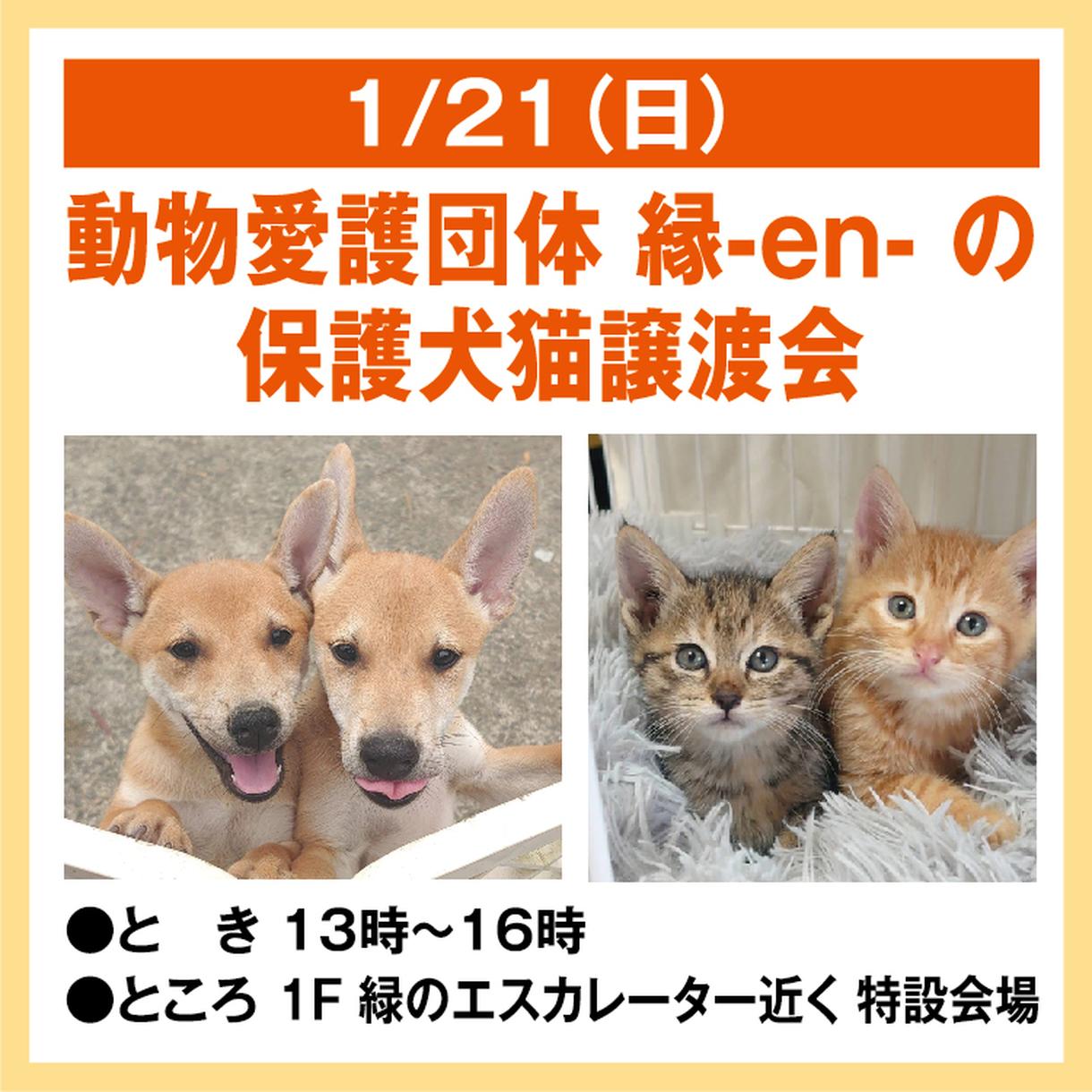 ゆめタウン丸亀 保護犬猫譲渡会