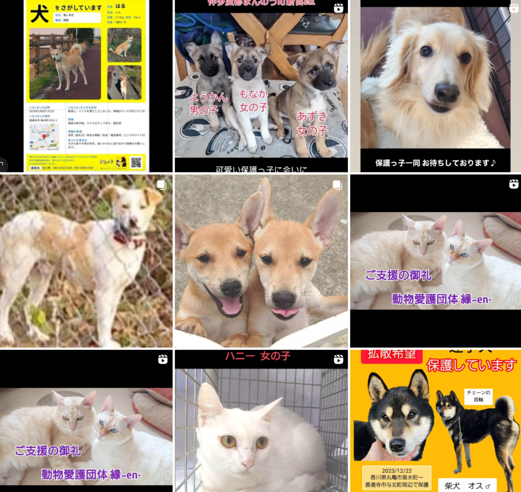 ゆめタウン丸亀 保護犬猫譲渡会