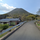 丸亀市飯山町 イノシシ