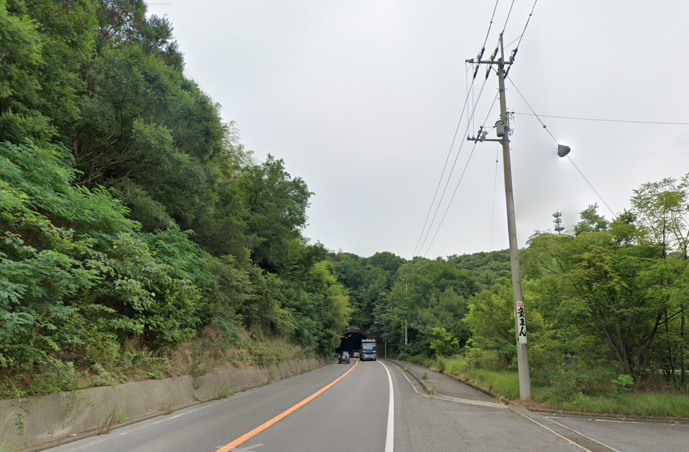 宇多津町 青の山 イノシシ