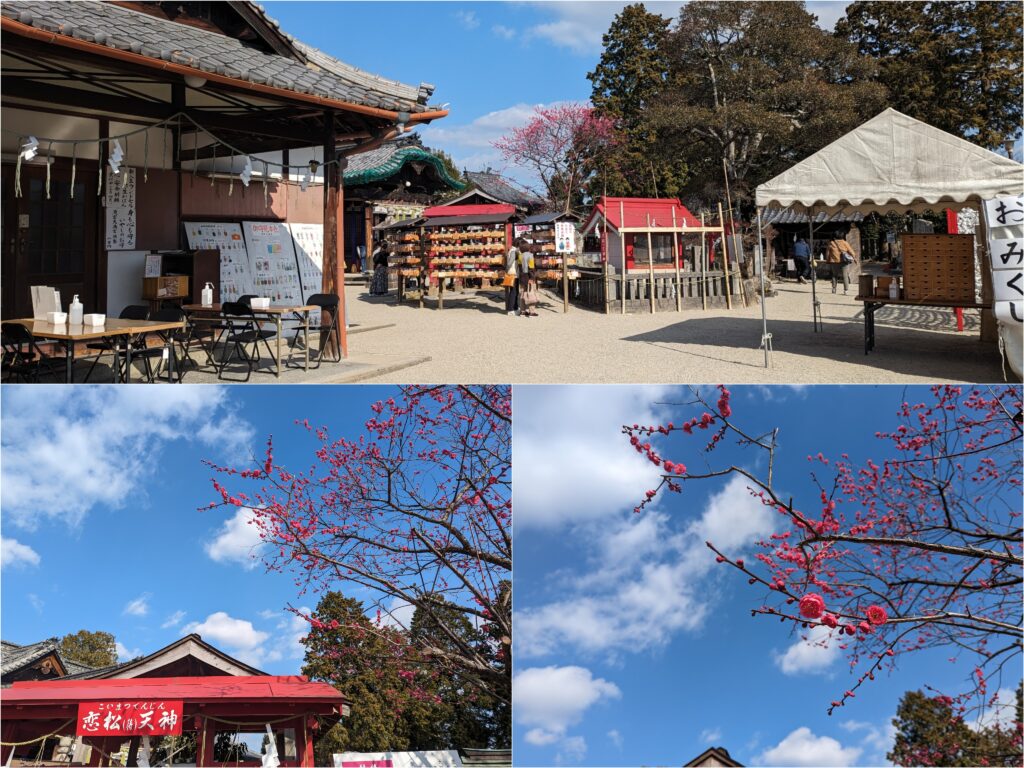 綾川町 滝宮天満宮