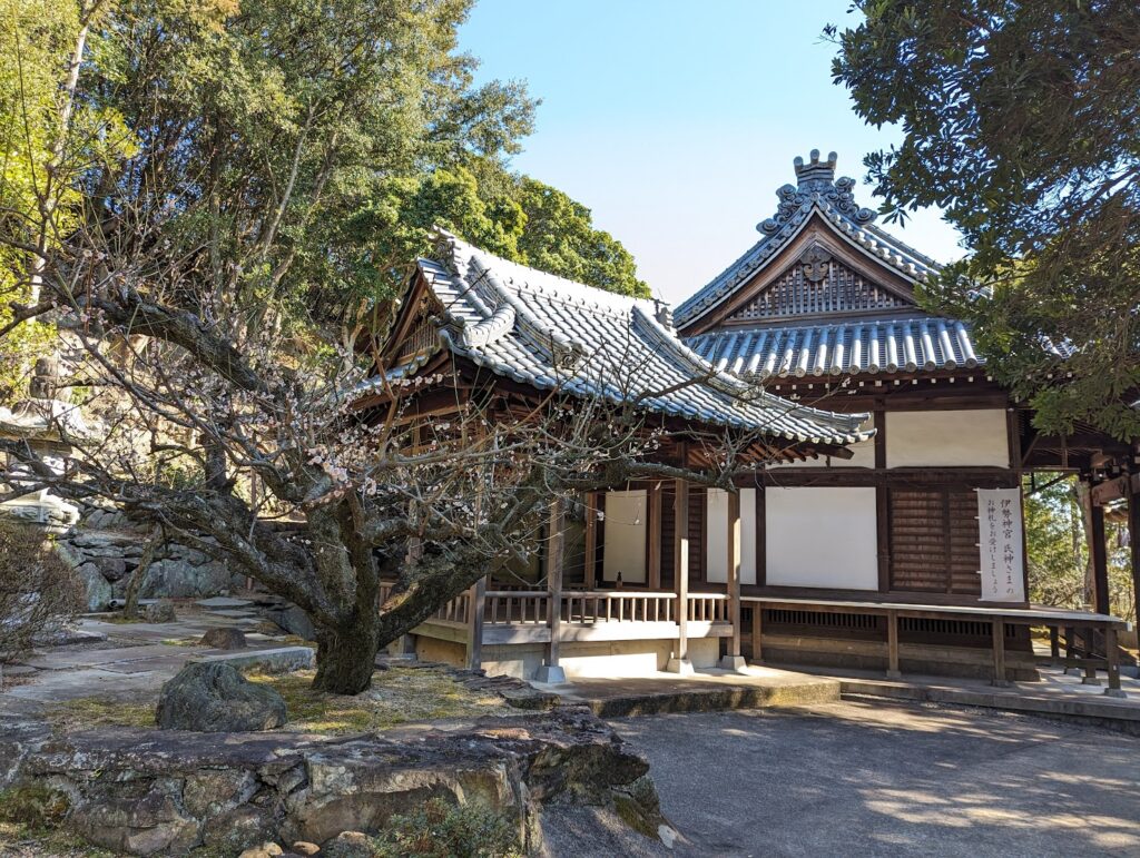 坂出市川津町 黒岩天満宮 梅の花