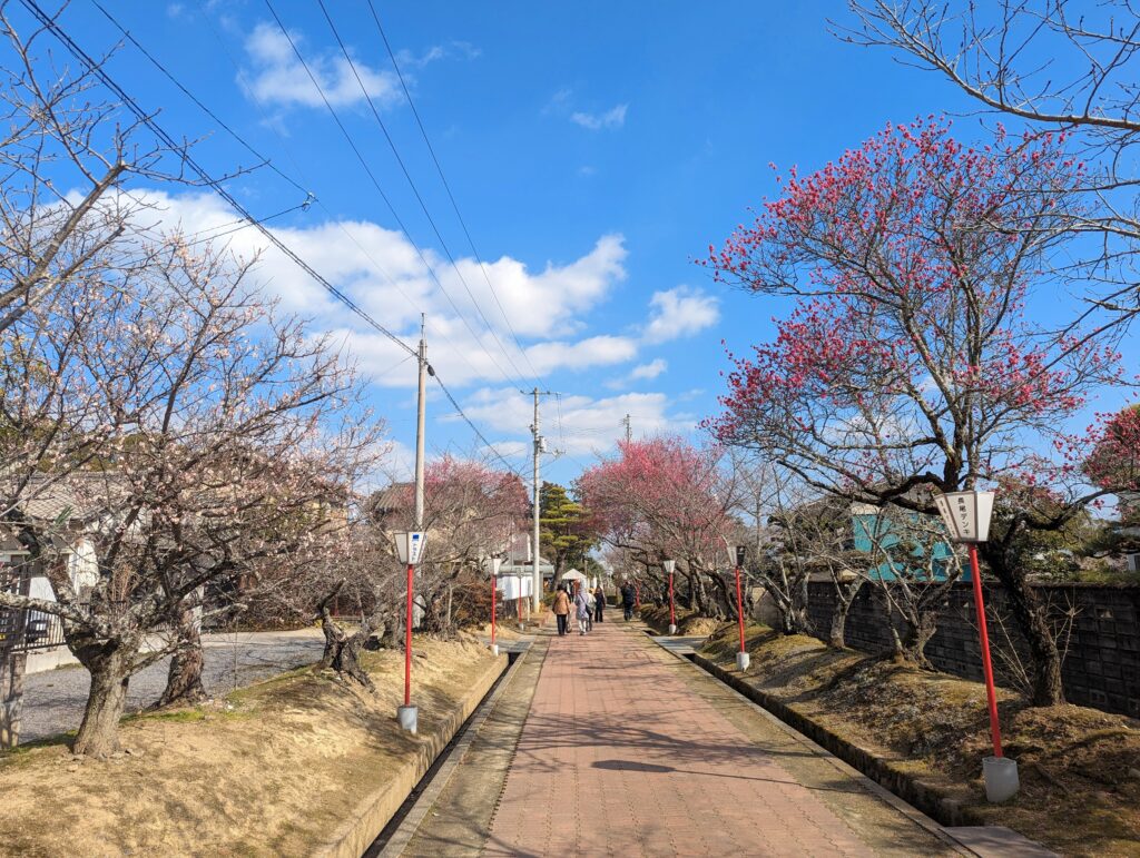 綾川町 滝宮天満宮