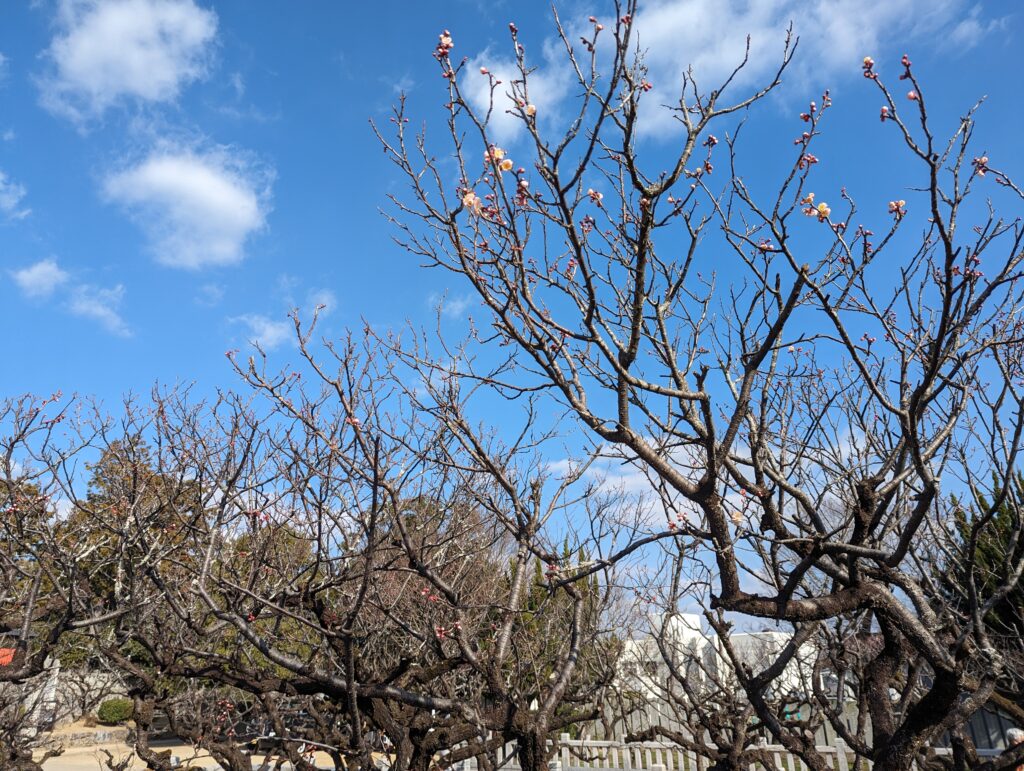 綾川町 滝宮天満宮