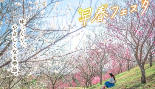 国営讃岐まんのう公園で「早春フェスタ」を2024年2月10日(土)〜3月3日(日) まで開催中！早春のお花が見頃を迎えてるみたい